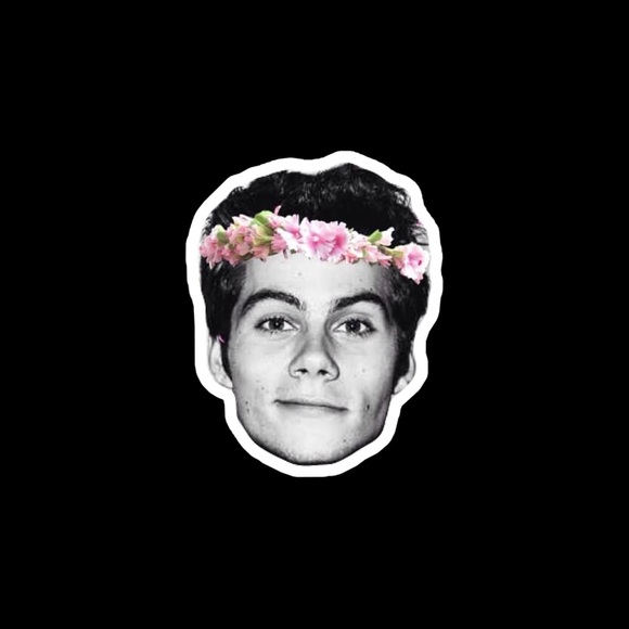 Meet your Posher, Ariana - Picture 1 of 1