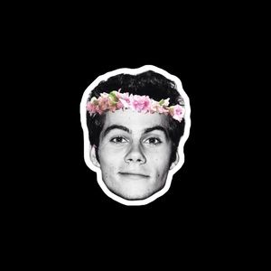 Meet your Posher, Ariana