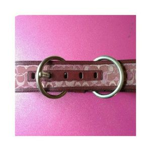 Coach Signature Belt