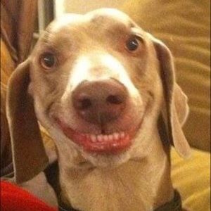 Meet your Posher, Lindsey