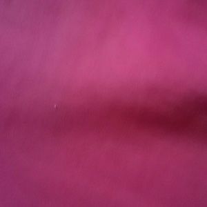 Meet your Posher, Mayra