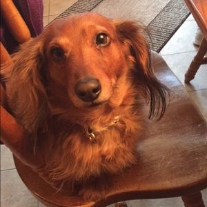 Meet your Posher, Chiann