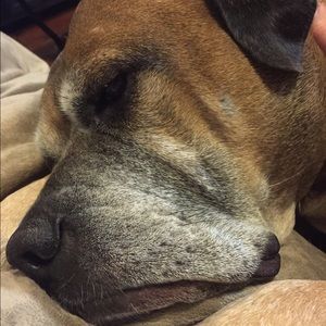 Meet your Posher, Alison