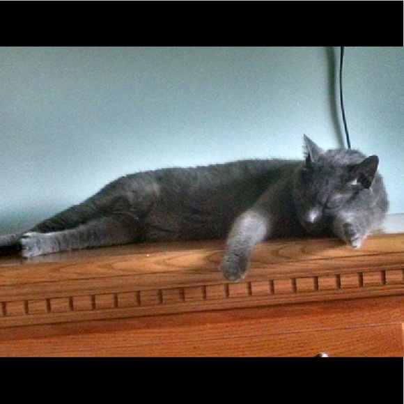 Hey, I'm Aubrey!! <3 :D - Picture 3 of 6