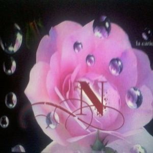 Meet your Posher, Nely