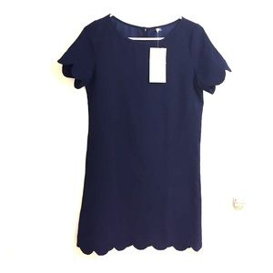 Navy blue shift dress, scallop edging