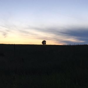 Meet your Posher, Isa