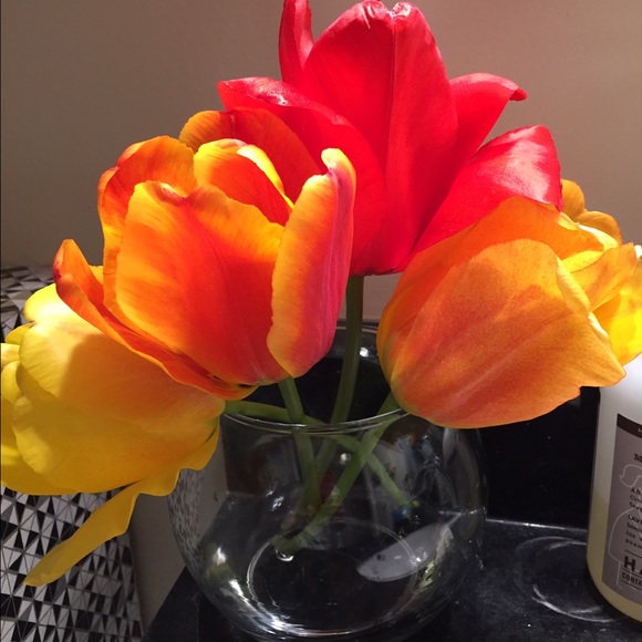 Meet your Posher, Katie - Picture 1 of 1