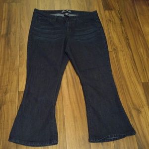 Torrid - Jeans SHORT