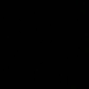 Meet your Posher, Adia