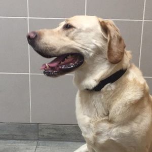 Meet your Posher, Mari