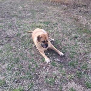 Meet your Posher, Tammy