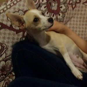 Meet your Posher, Janet