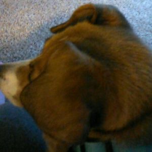 Meet your Posher, Eileen