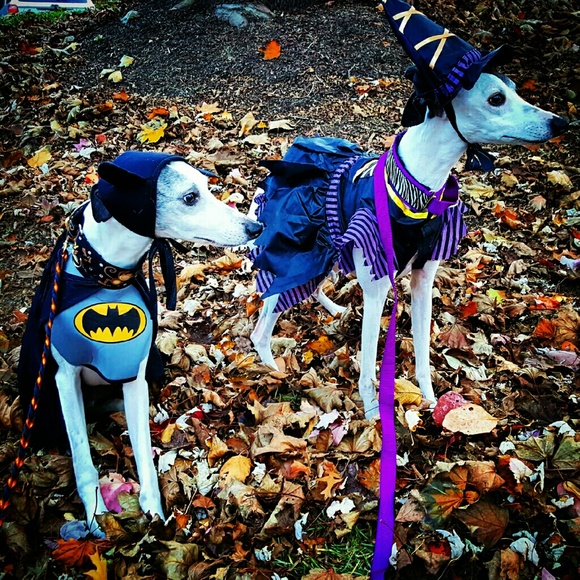 Meet your Posher, Dana