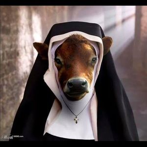 Meet your Posher, Jaymie