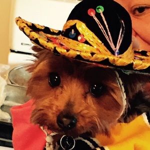 Meet your Posher, Melissa