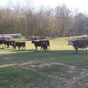 Meet your Posher, Kelley