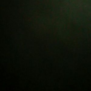 Meet your Posher, Jess