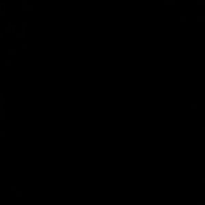 Meet your Posher, Angelica