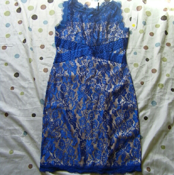 Gorgeous blue laced coctail dress