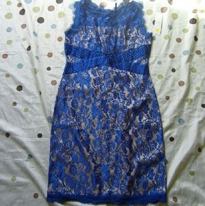 Gorgeous blue laced coctail dress