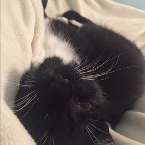 Meet your Posher, Madison