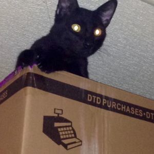 Meet your Posher, Lance