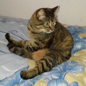 Meet your Posher, Patricia