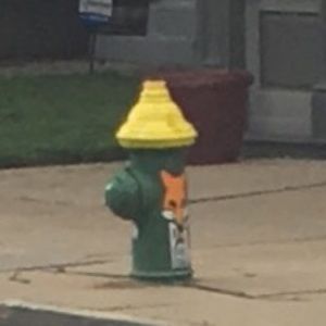 Meet your Posher, Luke