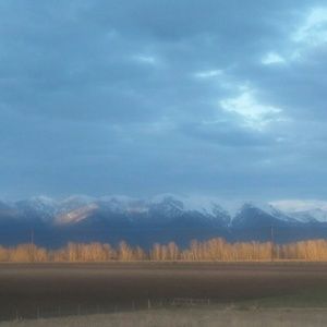 Meet your Posher, Sharey