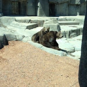 Meet your Posher, Kari