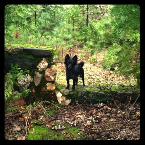 Meet your Posher, Chris - Picture 3 of 6