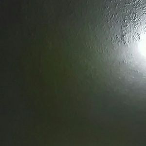 Meet your Posher, Felix