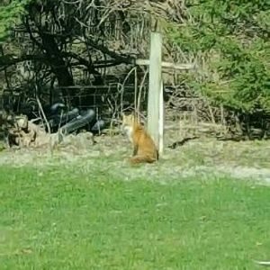 Meet your Posher, Ann