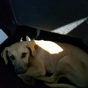 Meet your Posher, Deann