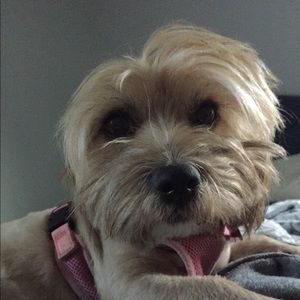 Meet your Posher, Anna