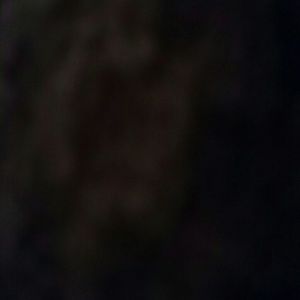 Meet your Posher, Hayley