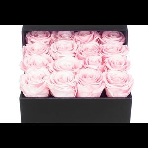 Meet your Posher, BizyGurl