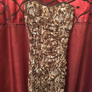 Strapless Beautiful Dress