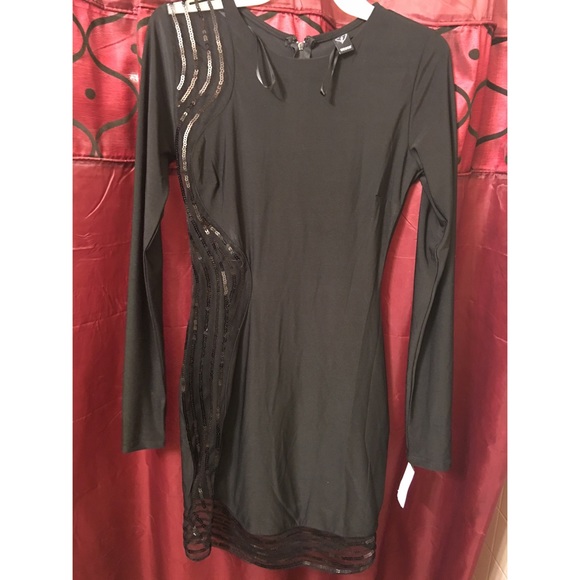 Sheer Beautiful Long Sleeve Dress