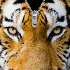 Meet your Posher, Liz