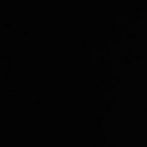 Meet your Posher, Sami