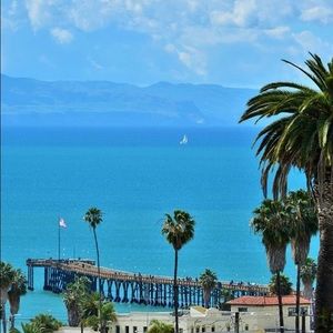 Meet your Posher, Joey