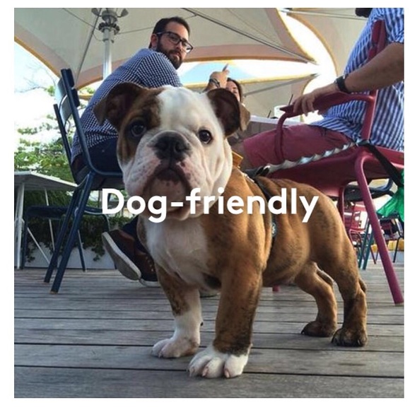 Meet your Posher, Alvin