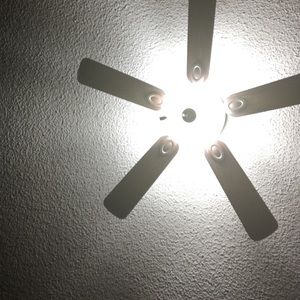 Meet your Posher, Anu