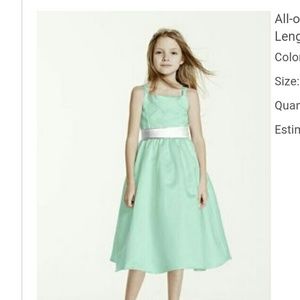 mint green David bridal children dress