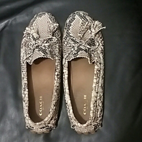 COACH snakeskin print loafers????