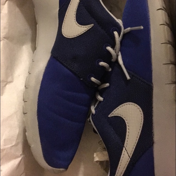 Blue and gray Roshes