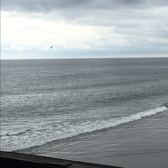 Meet your Posher, Dee - Picture 3 of 4